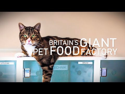 Britain's Giant Pet Food Factory - Trailer