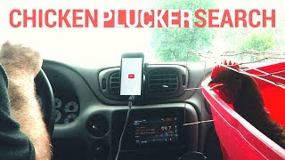 Can We Find A Chicken Plucker?