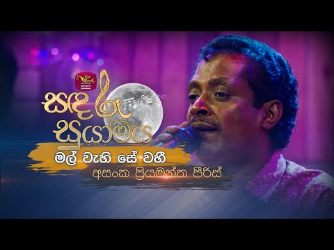 Mal wahi Se Wahi | මල් වැහි සේ වහී | Asanka Priyamantha | Sandaru Suyamaya | @RooTunes