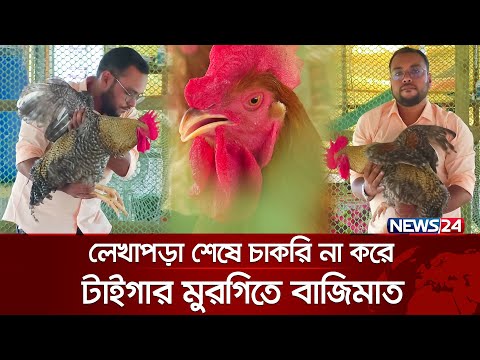টাইগার মুরগির খামারে মাসে আয় ২ লাখ টাকা | Tiger Murgi | News24 ‍Special