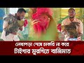 টাইগার মুরগির খামারে মাসে আয় ২ লাখ টা