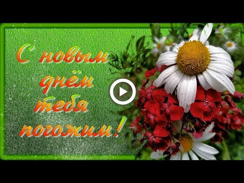 С новым днём тебя погожим! Музыкальная открытка для друзей