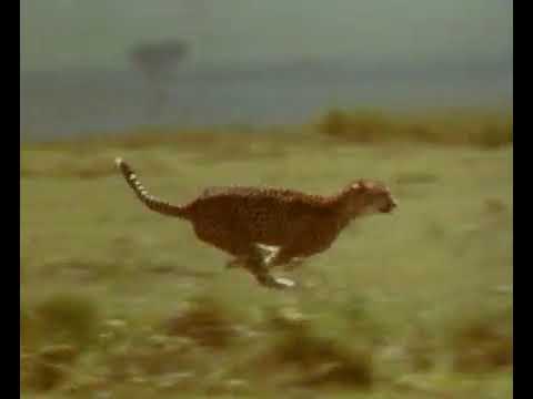 Tropami Tajemnic Discovery Channel - reklama