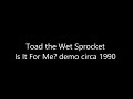 Toad the Wet Sprocket - Is It For Me demo circa 1990