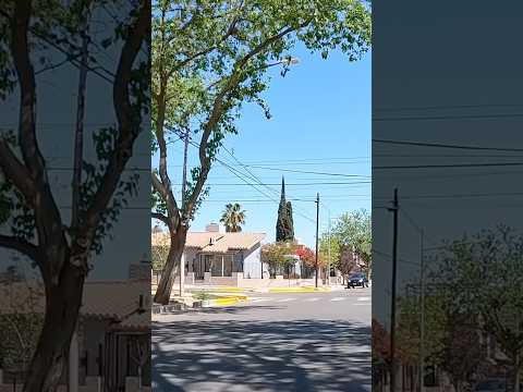 Calles de Dorrego, Guaymallén #mendoza #argentina #shorts