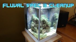 How to setup a Fluval SPEC 3 Reef tank CLEANUP