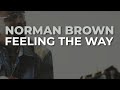 Norman Brown - Feeling The Way (Official Audio)