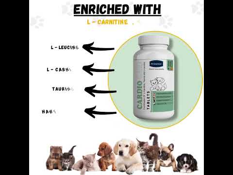 Cardio care tablets for pets-aniamor- l-carnitine, l-leucine...