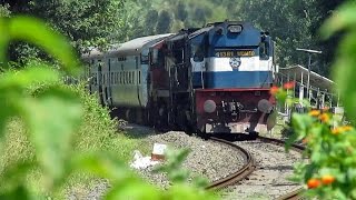 preview picture of video 'High Speed Train Suddenly Appears Out of Dense Foliage!!'