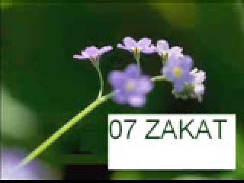 07 ZAKAT_chunk_6