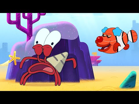 THE CLOWNFISH | NEW The Adventures of Bernie | Zig & Sharko - Cartoons for Kids
