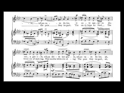 Non posso disperar (S. De Luca) - F Minor Piano Accompaniment - Karaoke