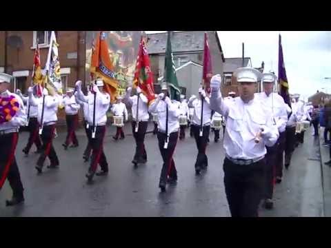 Shankill Protestant Boys FB @ Vol Brian Robinson Memorial Parade 2016