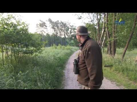 Darz Bór odc. 63 - Pułapka na lisa i termowizja