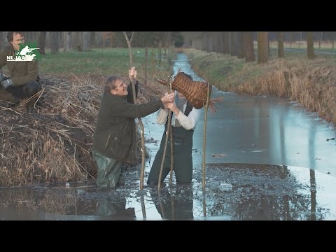 NL Jaagt - Hoe maak ik een eendenbroedkorf?