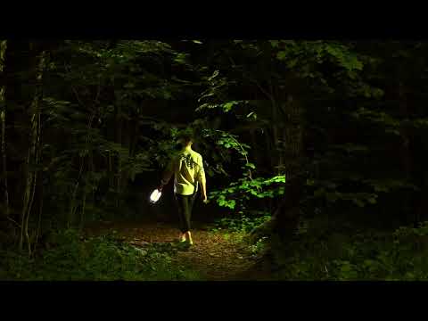 Превью видео