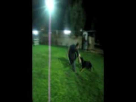 Joy di Casa Nosella - Piccolo lanciato