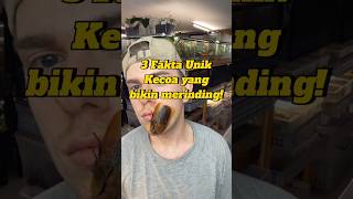 3 Fakta Unik Kecoa yang bikin merinding! nomor 2 jangan diulang-ulang ya😂 #shorts #kecoa #faktaunik