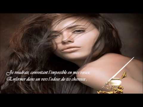 Ton Souvenir est comme un livre