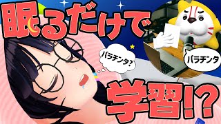 【全人類の夢】人は寝てる間に賢くなれるのか。【ガチいびきASMR付き】