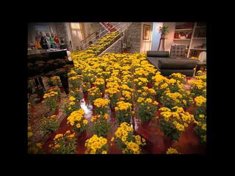 Floricienta - Fede esta locamente celoso por Flor