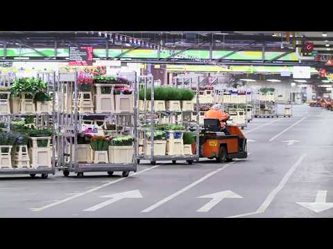 Werken bij Royal FloraHolland via Actief Werkt