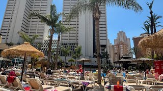 Flamingo Oasis Benidorm Quick Tour - 2025