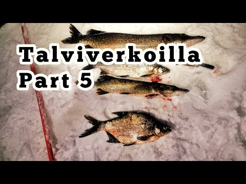 Talviverkoilla Part 5