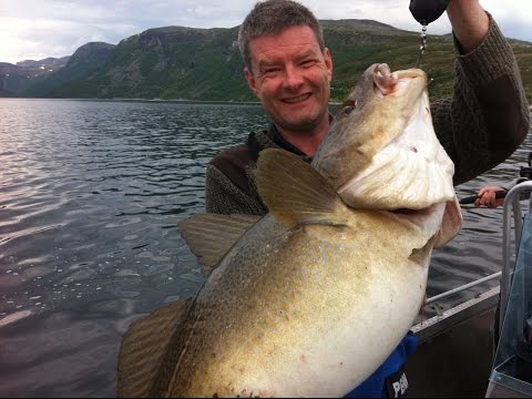 Mark Rae Fishing Adventures Norway, Storekorsnes Summer 2012