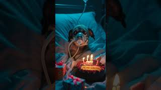 Download lagu APK HIGGS DOMINO GLOBAL BISA KIRIM•CARA KIRIM CHIP HIGGS DOMINO#shorts #fyp #viral #dog mp3