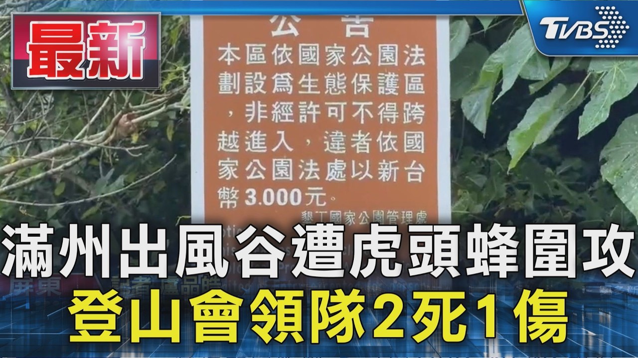 滿州出風谷遭虎頭蜂圍攻 登山會領隊2死1傷|TVBS新聞 @TVBSNEWS01