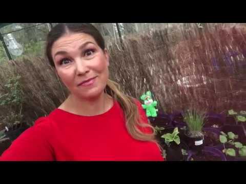 Frostvakt utan el -3 knep för att skydda växterna i växthus eller odlingstunnel Jessica Lyon visar