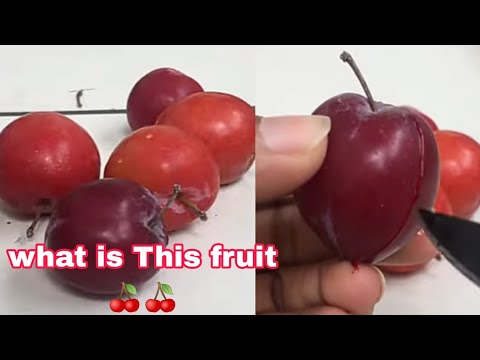 #Fruit ???? what is This fruit, 🍒