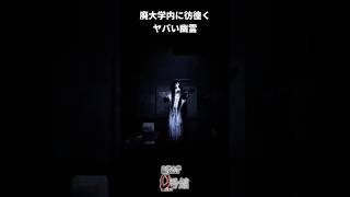 廃大学に彷徨く幽霊【白栄大学 0号館】