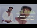 Download Galaanaa Gaaromsaa Damma Roobilee New 2019 Oromo Music Mp3 Song