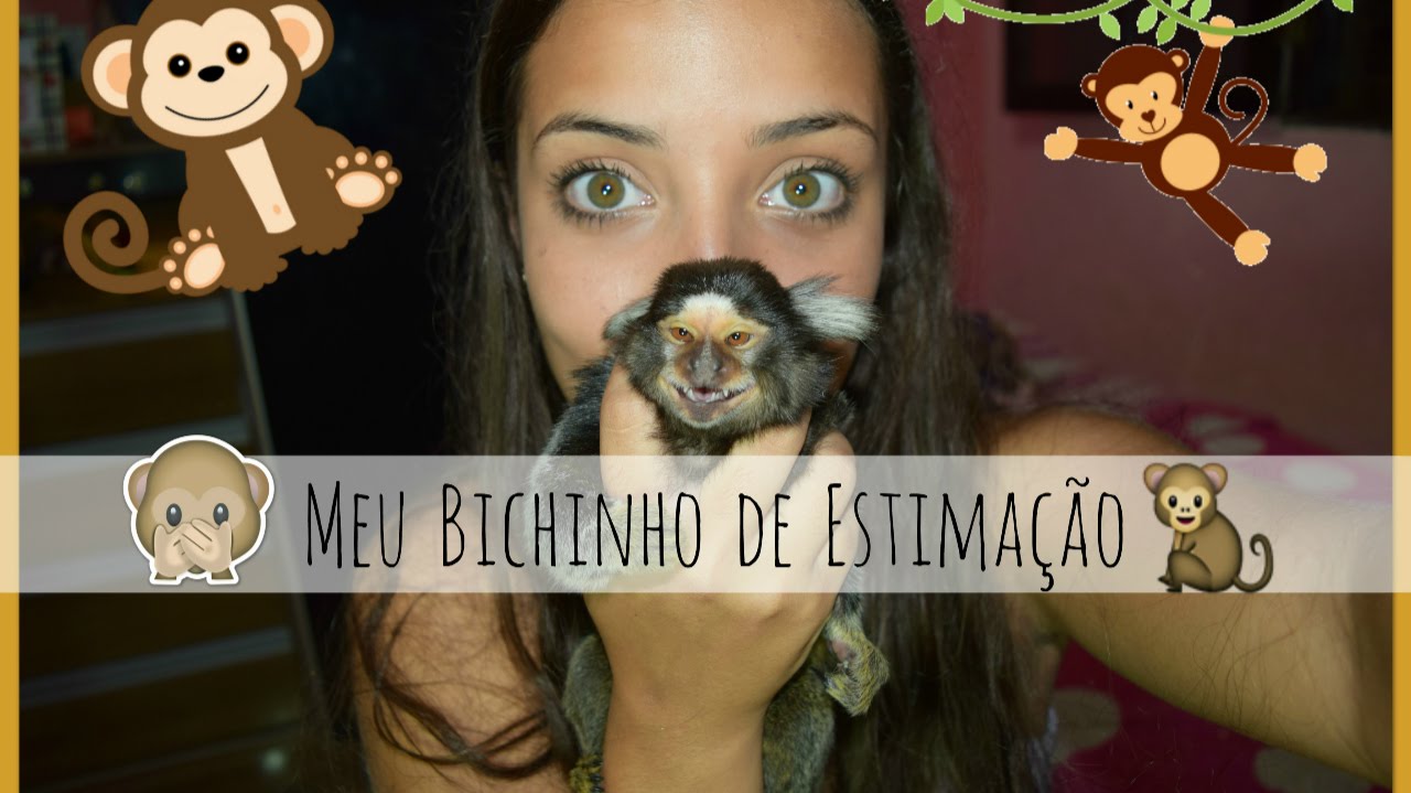 Meu Bichinho de Estimação!