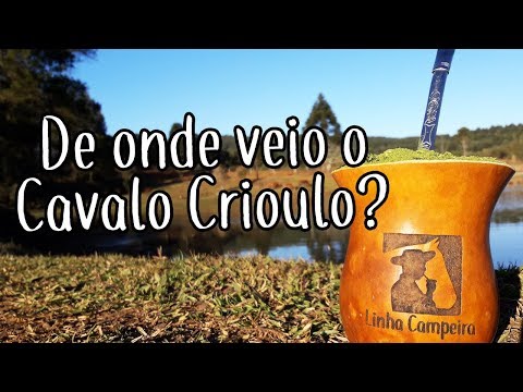 Como Surgiu o Cavalo Crioulo - Linha Campeira #28