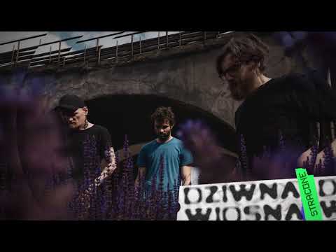 Dziwna Wiosna – Stracone (official audio)