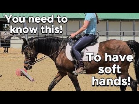 How to ride with soft hands: Avoid this common mistake!!