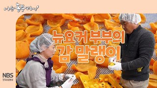 [나는농부다 277회] 뉴요커 부부의 감말랭이
