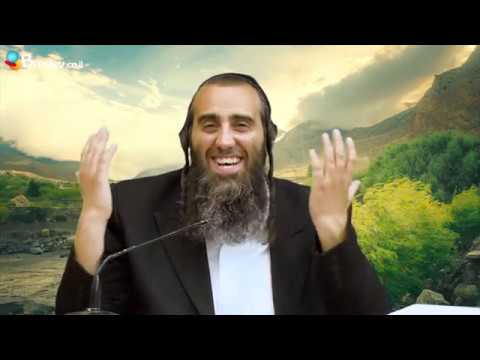 Respekt und Wertschätzung | Rabbiner David Kraus