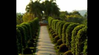 Jazzmasters - Inner Change - Paul Hardcastle - Smooth Jazz