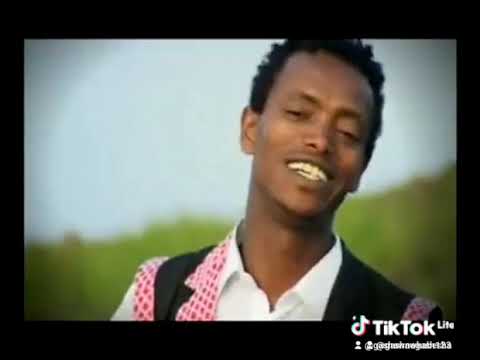 ጋሻው ነጋሽ   አዮ ማናት ንሺ