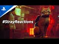 Stray Reactions | PS5 & PS4 Games