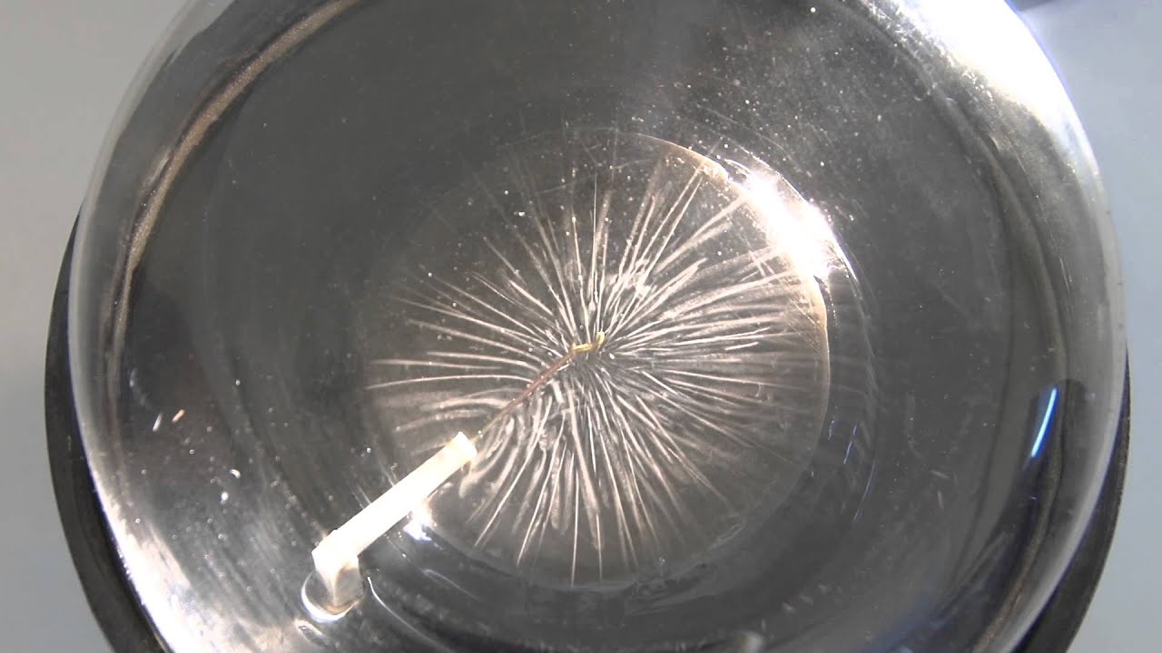 ��������� ����� �� ����� - ��� ������ ����