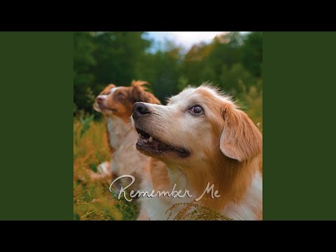 AcousticTrench - Remember Me cover