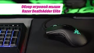 Razer DeathAdder Elite (RZ01-02010100-R3G1) - відео 6