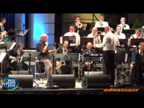 Modern Art Orchestra "42 Kérdés" VeszprémFest 2014. 07. 20.