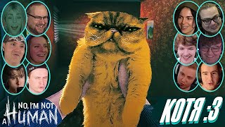 Реакции Летсплейщиков на Кота в No, I'm Not a Human