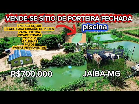 Vende-se SÍTIO ESCRITURADO RICO EM ÁGUA. PROJETO JAÍBA -  MUNICÍPIO DE JAÍBA-MG 